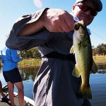 Arabie Dam fishing another small bass