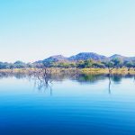 Arabie Dam bass fishing structure trees