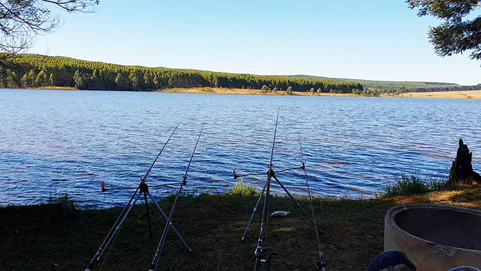 klipkoppie dam carp fishing