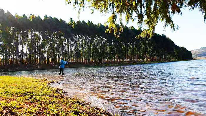 klipkoppie dam trees