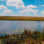 View of dam 1 at Green Thumb Ermelo