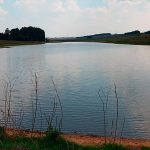 View of dam 2 at Green Thumb Ermelo