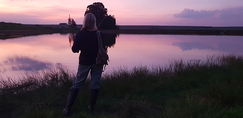 green thumb sunset fishing last cast