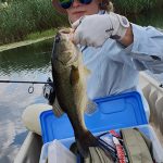 Small bass caught from a kayak at Tolderia