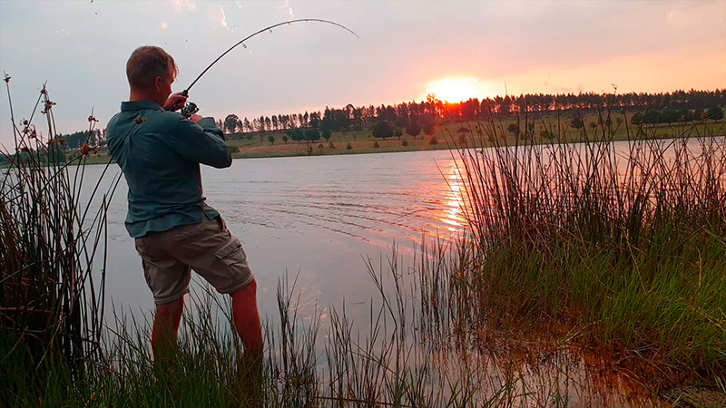 Catching a bass at sunset at Tolderia