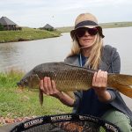 Grootdraai dam common carp caught by girl
