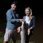 Grootdraai dam huge barbel