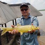 Grootdraai Dam beautiful yellowfish