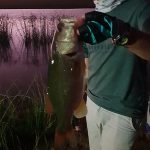 Little Long Creek night bass