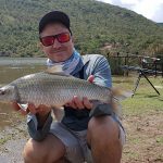 Rednose mudfish caught at Loskop dam
