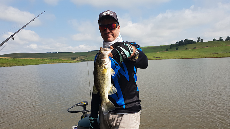 Bass caught while fishing at Mearns Dam