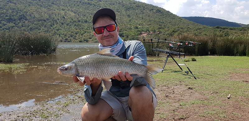 Nice mudfish caught at Marulani at Loskop dam