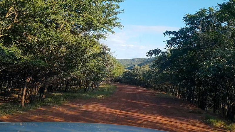 Bush road to water at Marulani at Loskop dam