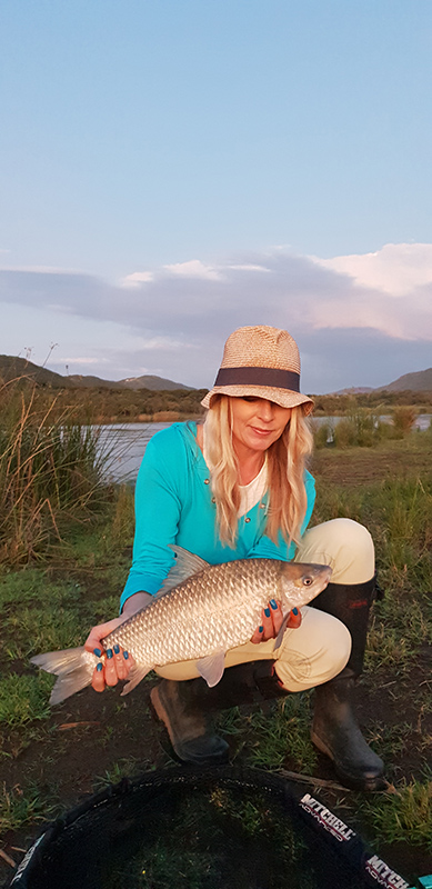 Beautiful rednose mudfish caught at Marulani at Loskop dam