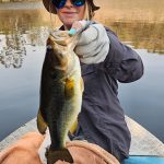 Nice bass caught from boat at Olifants River