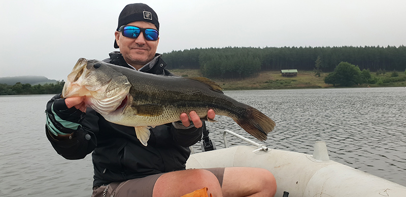 Monster bass caught at Stanford Lake Lodge