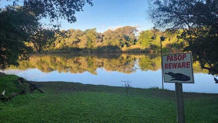 waterberg farmstay croc